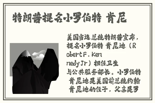 厨房打扑克