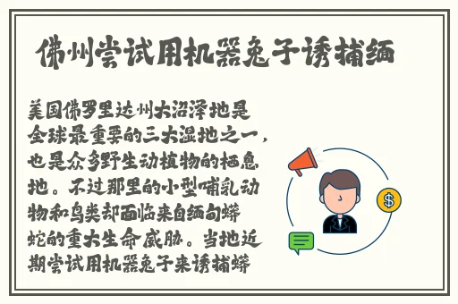 菠萝菠萝蜜在线观看